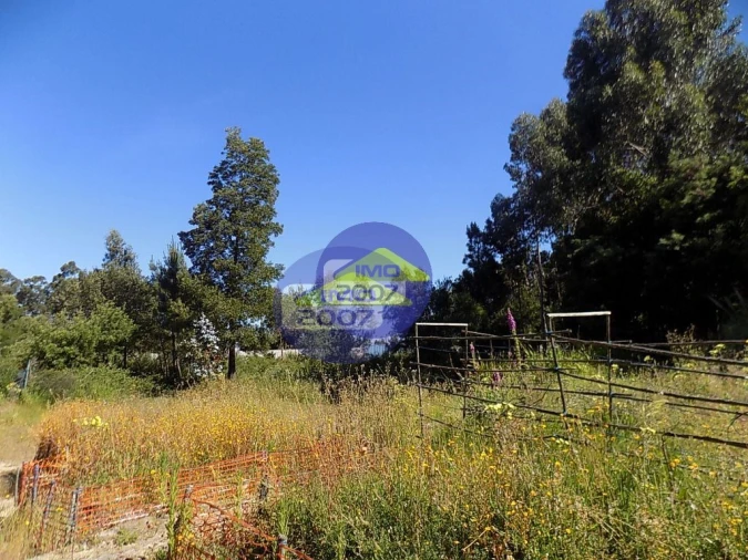 Terreno para Venda em Rio Meão Foto 9