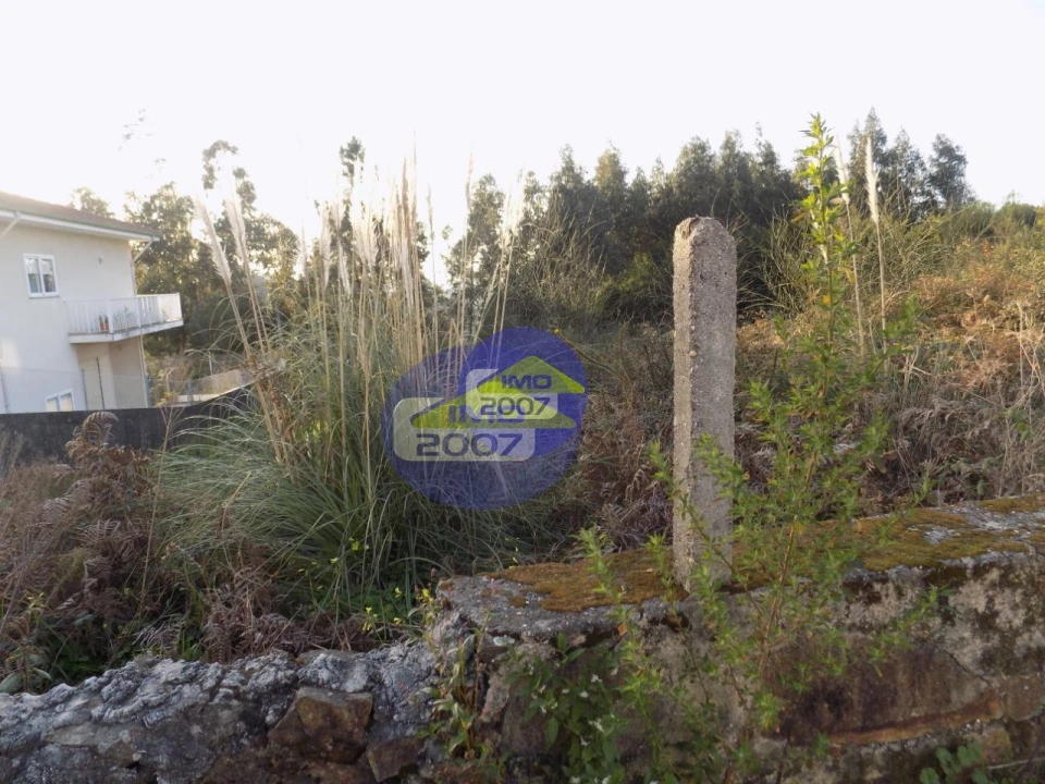 Terreno para Venda em Nogueira da Regedoura Foto 6