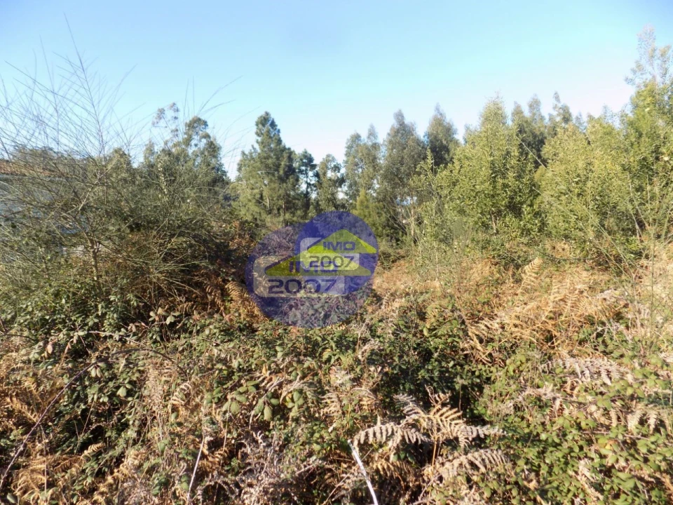 Terreno para Venda em Nogueira da Regedoura Foto 8