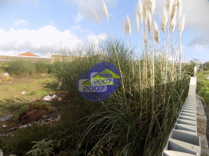 Terreno para Venda em Lourosa Foto 4