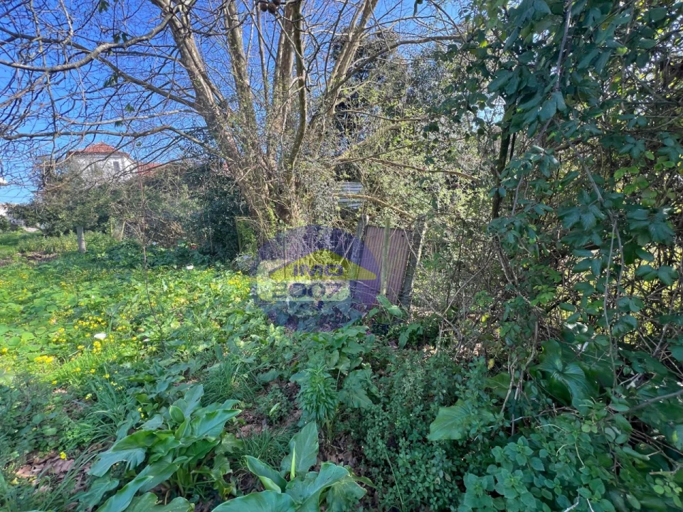 Terreno para Venda em Esmoriz Foto 3