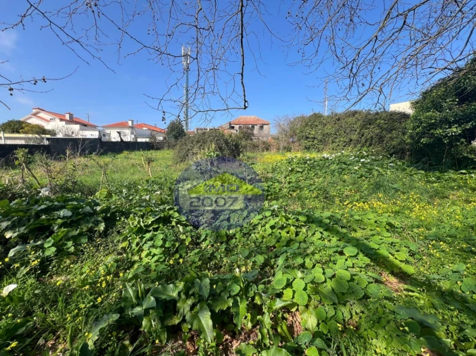 Terreno para Venda em Esmoriz