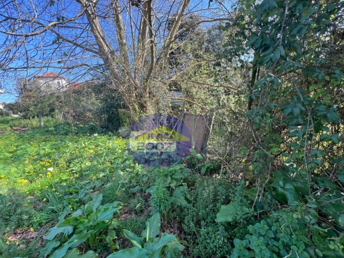 Terreno para Venda em Esmoriz Foto 3