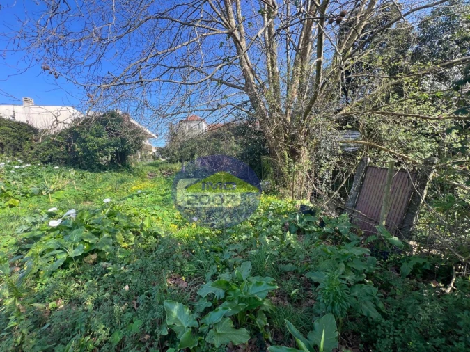 Terreno para Venda em Esmoriz Foto 12