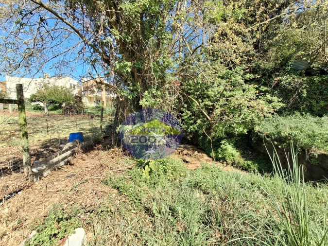 Terreno para Venda em Esmoriz Foto 26