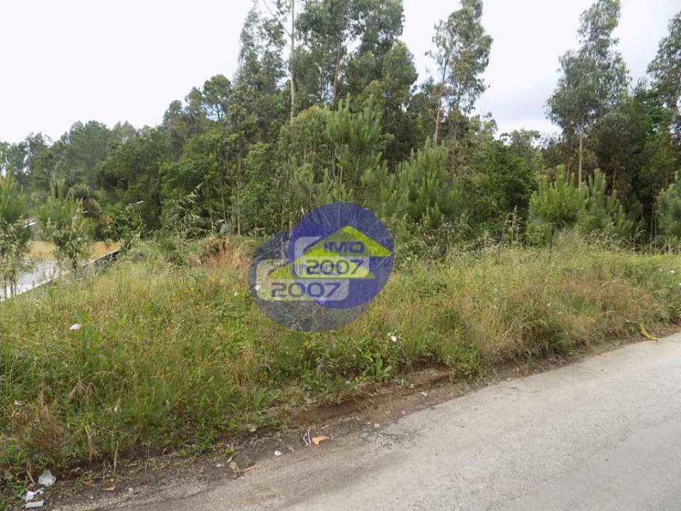 Terreno para Venda em São Miguel do Souto e Mosteirô Foto 5