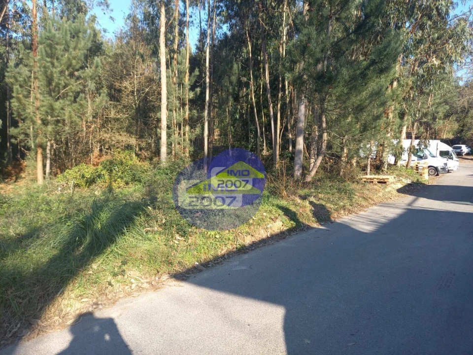 Terreno para Venda em São Miguel do Souto e Mosteirô Foto 2