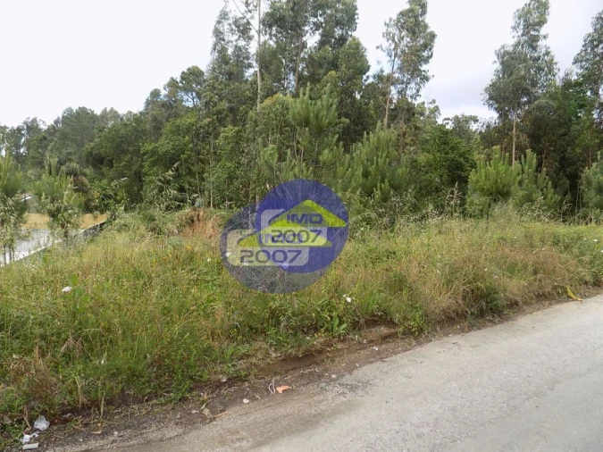 Terreno para Venda em São Miguel do Souto e Mosteirô Foto 5