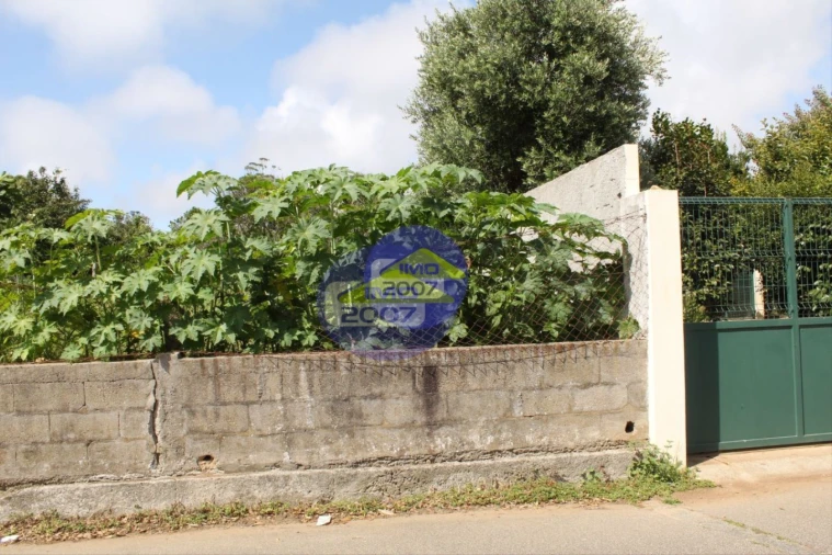 Terreno para Venda em Anta e Guetim Foto 11