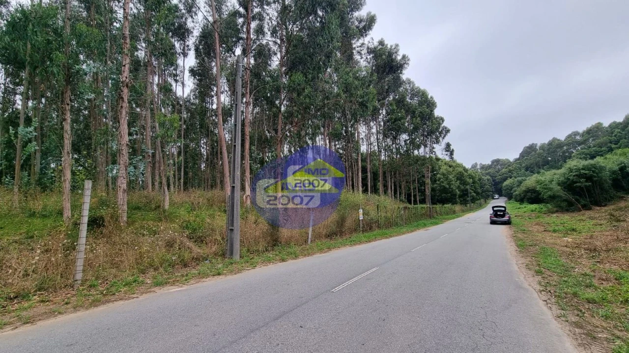 Terreno para Venda em Mozelos Foto 3