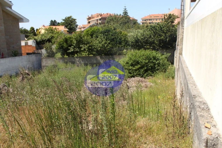 Terreno para Venda em Canelas Foto 7