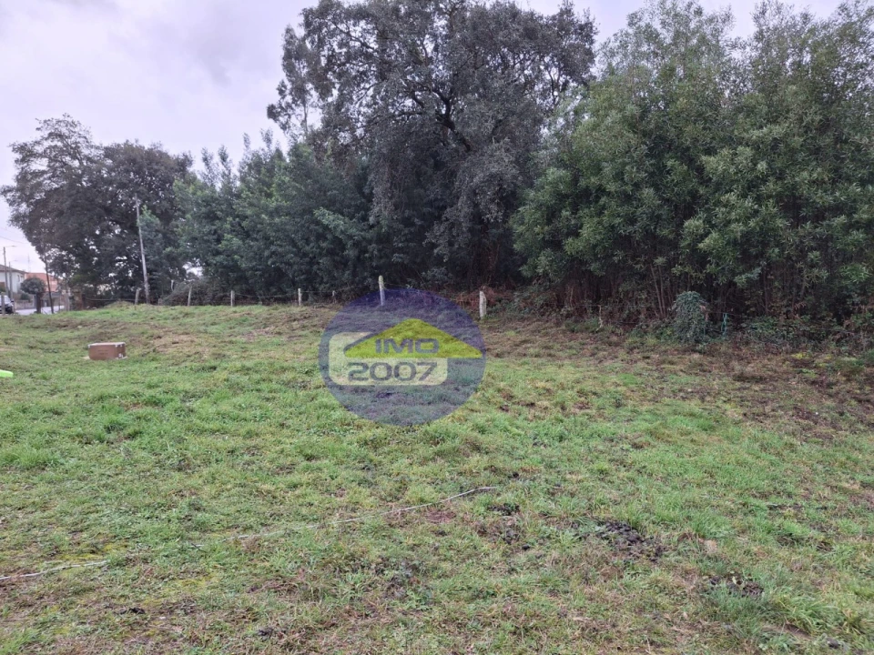 Terreno para Venda em São Paio de Oleiros Foto 7