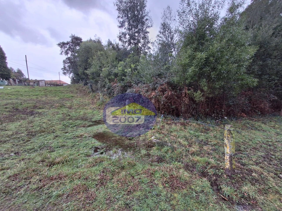 Terreno para Venda em São Paio de Oleiros Foto 8