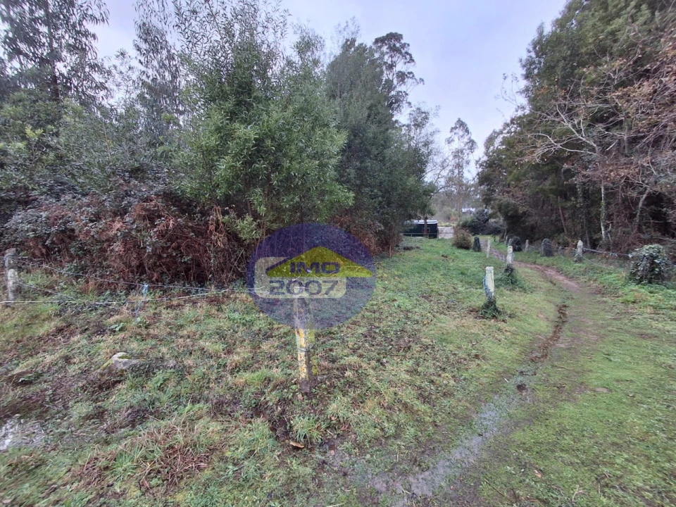 Terreno para Venda em São Paio de Oleiros Foto 11