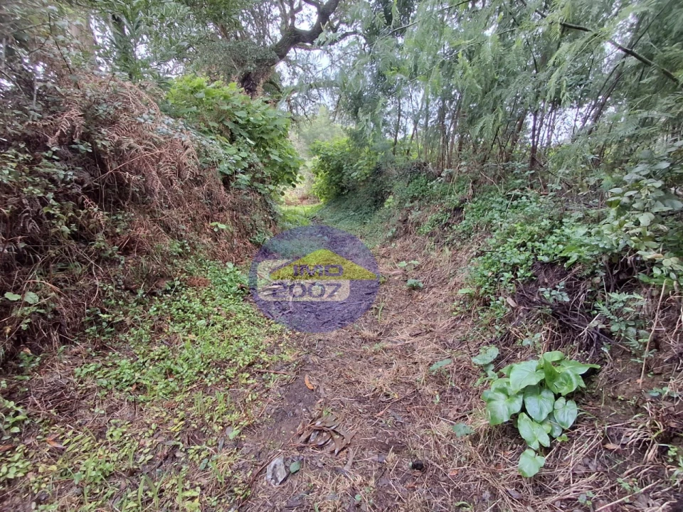 Terreno para Venda em São Paio de Oleiros Foto 16
