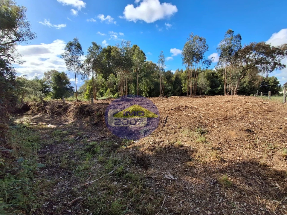 Terreno para Venda em São Paio de Oleiros Foto 1