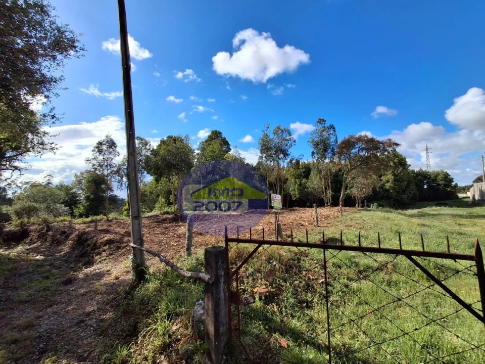Terreno para Venda em São Paio de Oleiros Foto 2