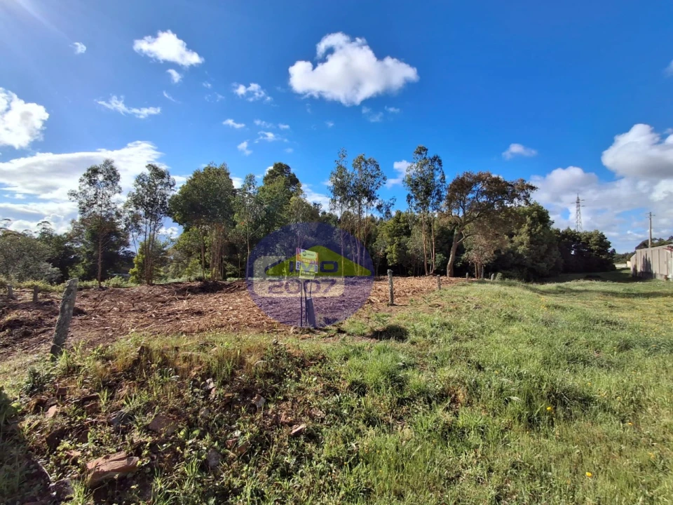 Terreno para Venda em São Paio de Oleiros Foto 4