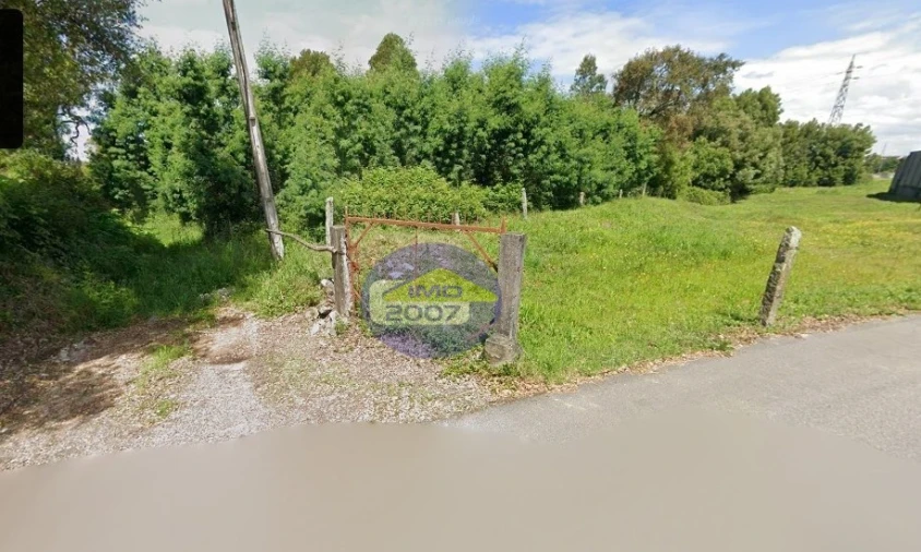 Terreno para Venda em São Paio de Oleiros Foto 3