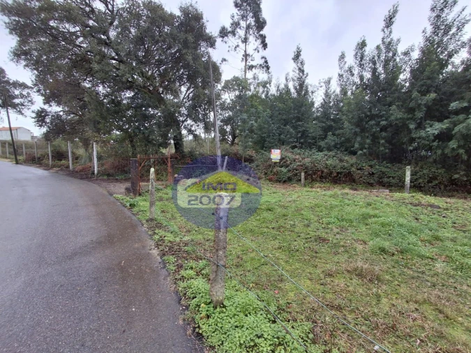 Terreno para Venda em São Paio de Oleiros Foto 6