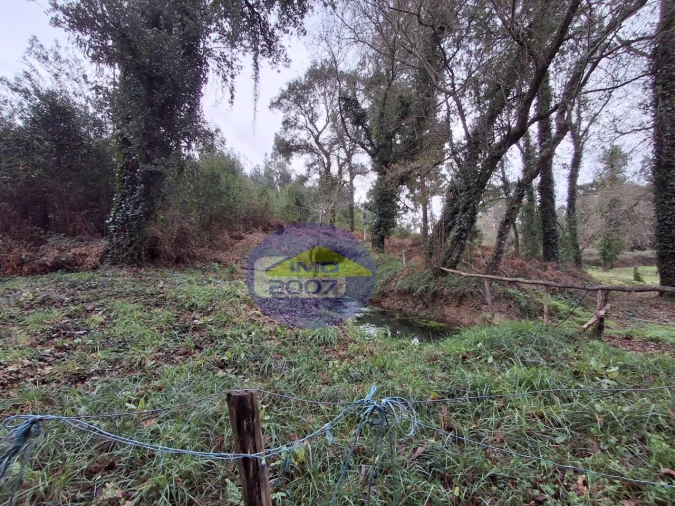 Terreno para Venda em São Paio de Oleiros Foto 10