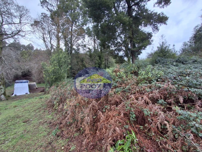 Terreno para Venda em São Paio de Oleiros Foto 14