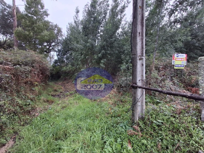 Terreno para Venda em São Paio de Oleiros Foto 17