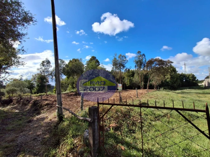Terreno para Venda em São Paio de Oleiros Foto 2