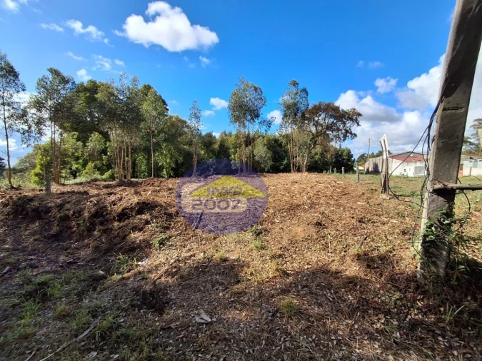 Terreno para Venda em São Paio de Oleiros Foto 3