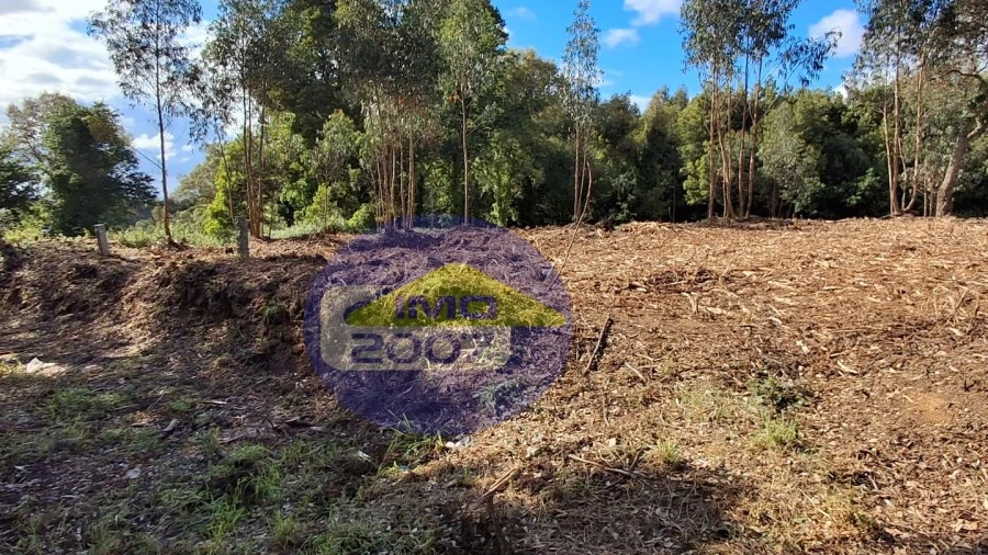 Terreno para Venda em São Paio de Oleiros