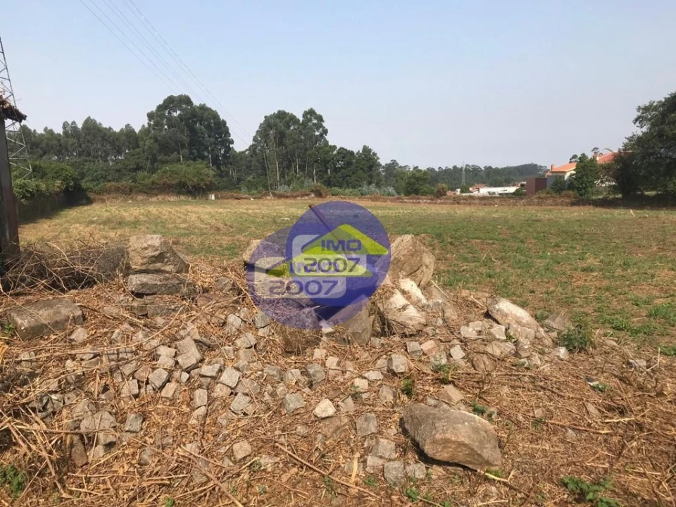 Terreno para Venda em Nogueira da Regedoura Foto 4