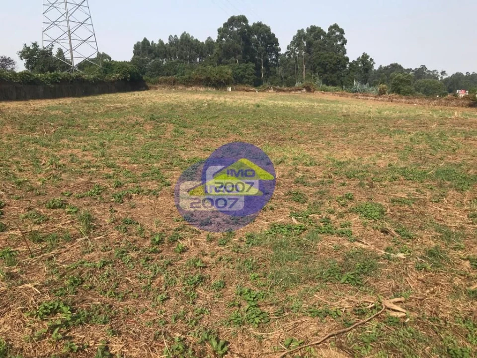 Terreno para Venda em Nogueira da Regedoura Foto 9