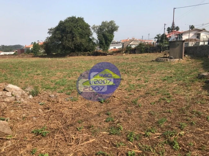 Terreno para Venda em Nogueira da Regedoura Foto 5