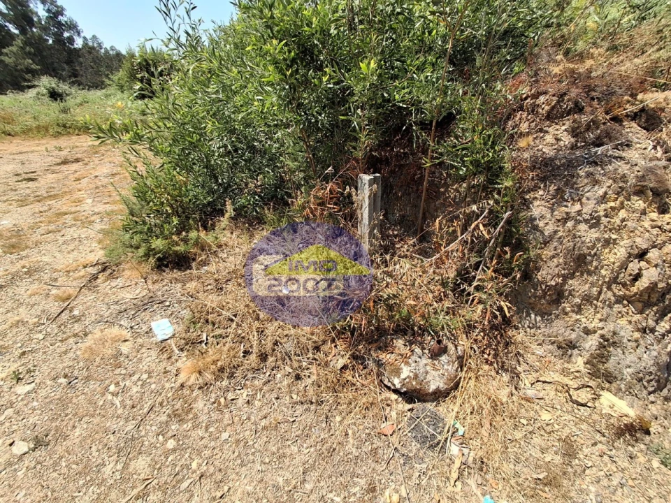 Terreno para Venda em Milheiros de Poiares Foto 13
