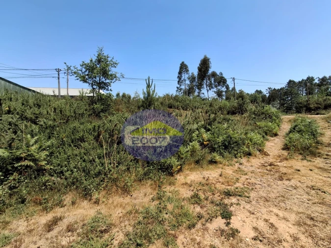 Terreno para Venda em Milheiros de Poiares Foto 11