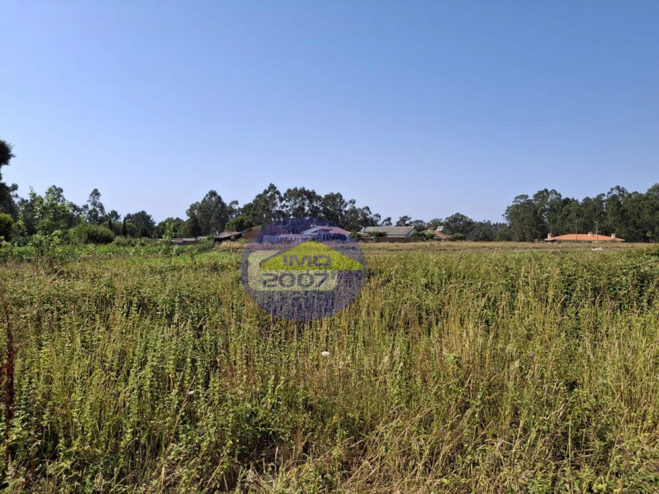Terreno para Venda em São Miguel do Souto e Mosteirô Foto 2