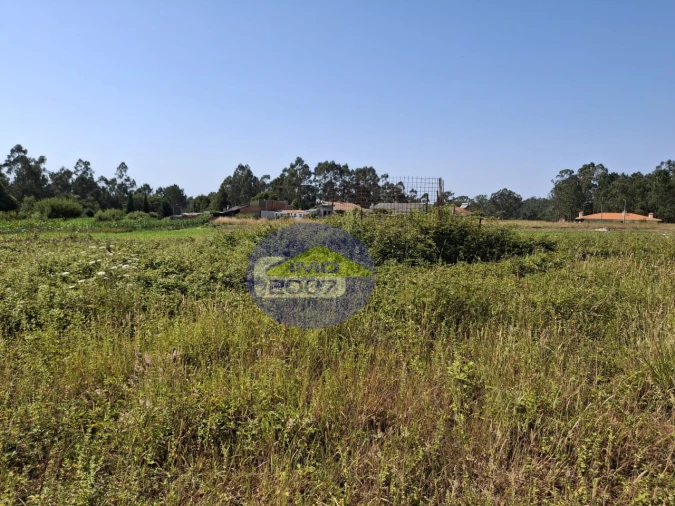Terreno para Venda em São Miguel do Souto e Mosteirô Foto 8