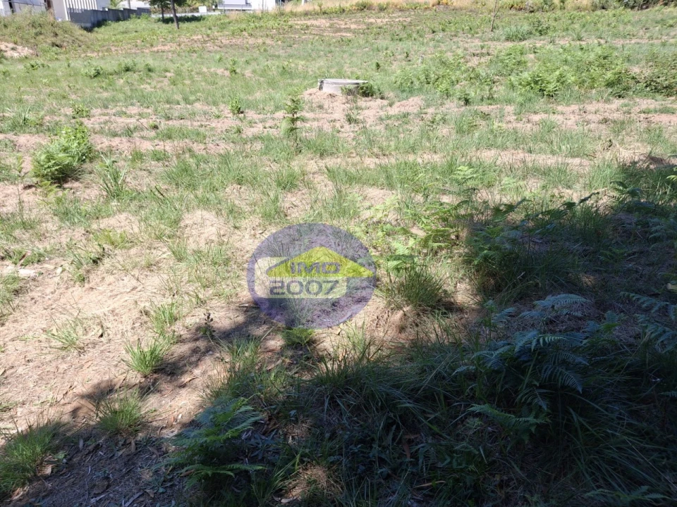 Terreno para Venda em São Miguel do Souto e Mosteirô Foto 3