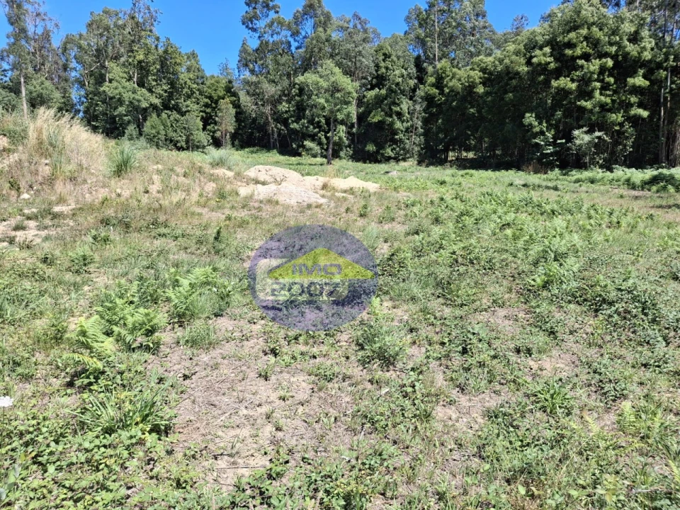Terreno para Venda em São Miguel do Souto e Mosteirô Foto 11