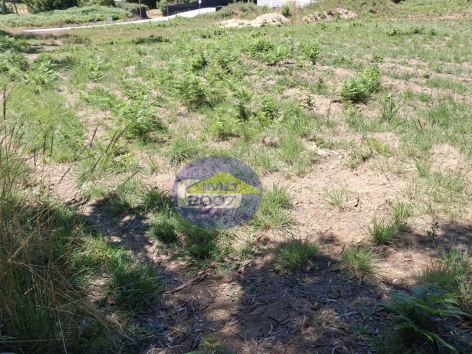Terreno para Venda em São Miguel do Souto e Mosteirô Foto 2