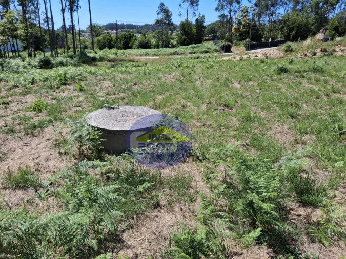 Terreno para Venda em São Miguel do Souto e Mosteirô Foto 5