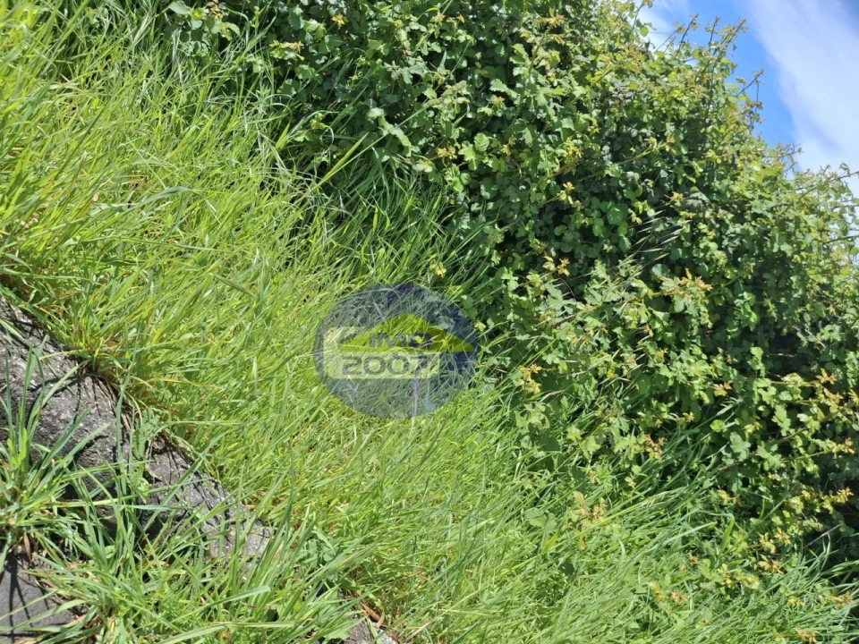 Terreno para Venda em Esmoriz Foto 12