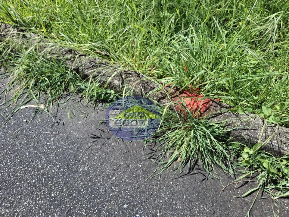 Terreno para Venda em Esmoriz Foto 15