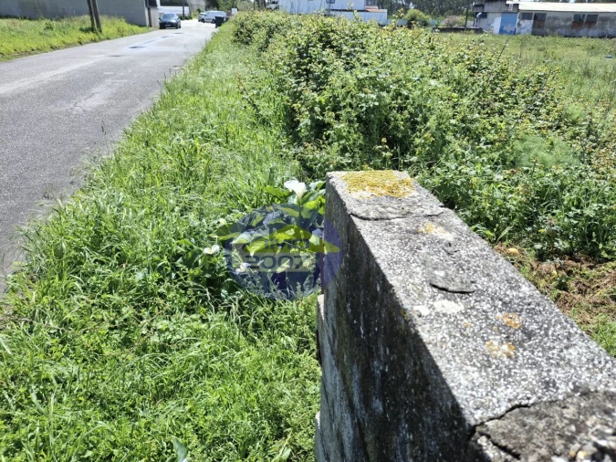 Terreno para Venda em Esmoriz Foto 5