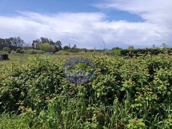 Terreno para Venda em Esmoriz Foto 14