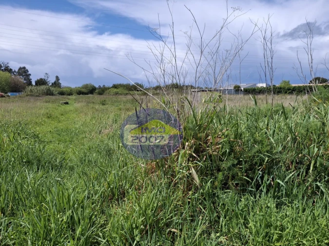 Terreno para Venda em Esmoriz Foto 19