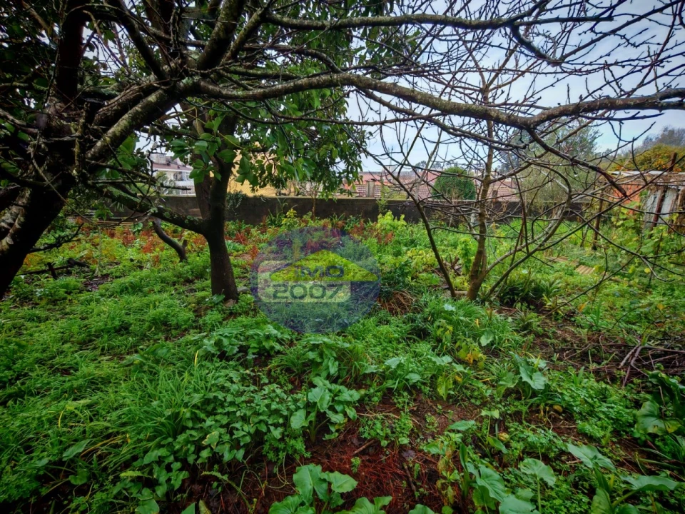Terreno para Venda em Mozelos Foto 8