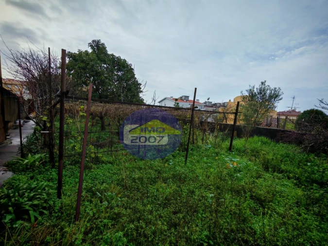 Terreno para Venda em Mozelos Foto 4