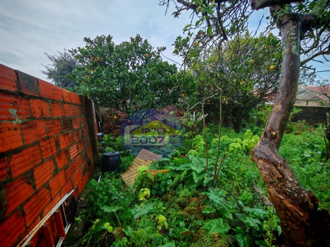 Terreno para Venda em Mozelos Foto 6