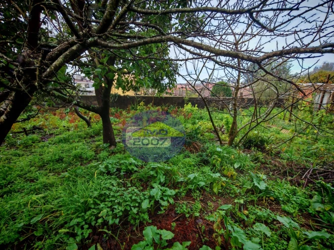 Terreno para Venda em Mozelos Foto 8